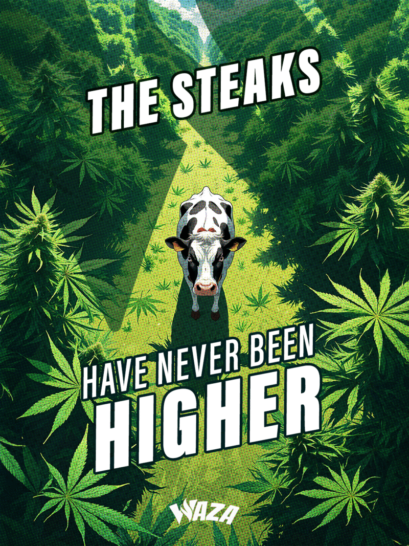 Funny 420 stoner meme from Waza Cannabis: The steaks have never been higher