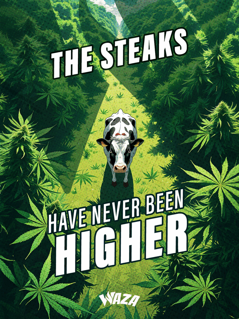 Funny 420 stoner meme from Waza Cannabis: The steaks have never been higher