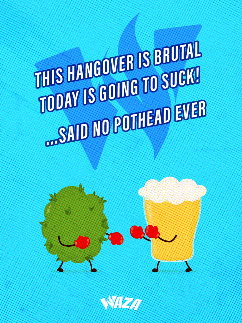 Funny 420 stoner meme from Waza Cannabis: This hangover is brutal, today is going to suck! ...Said not pothead ever.