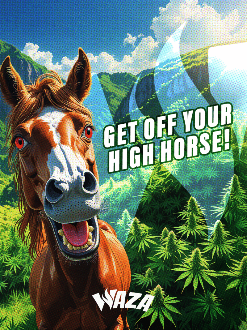 Funny 420 Stoner Memes | Waza Cannabis: Get off your High horse!