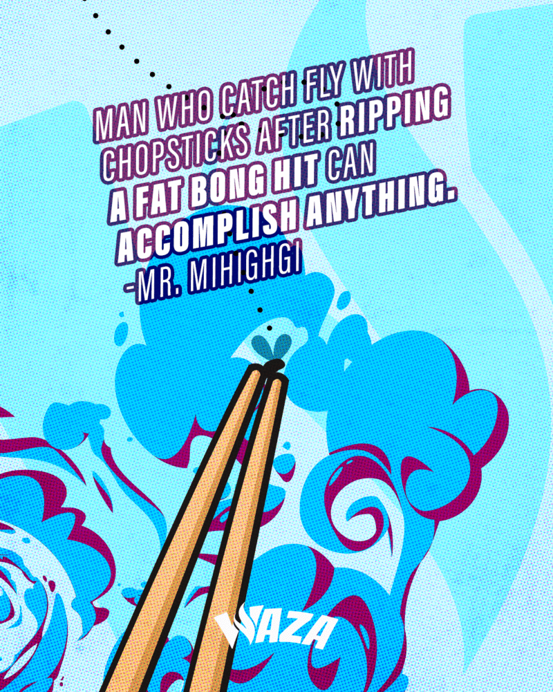 Funny 420 Stoner Memes | Waza Cannabis: Man who catch fly with chopsticks after ripping a fat bong hit can accomplish anything. -mr. Mihighgi