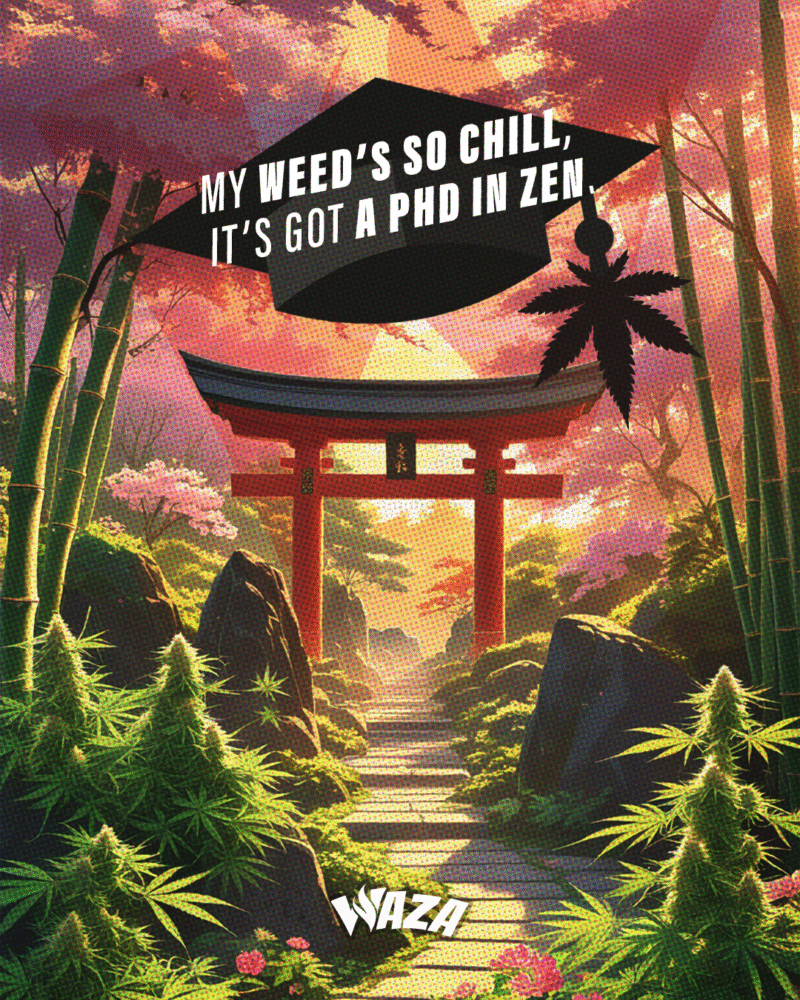 Funny 420 Stoner Memes | Waza Cannabis: My weed’s so chill, it’s got a PhD in Zen.