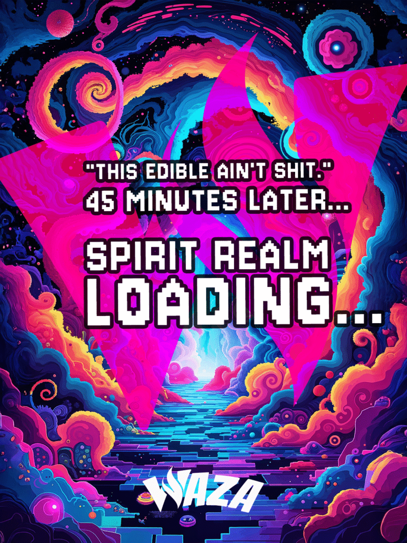 Funny 420 Stoner Memes | Waza Cannabis: "This edible ain't shit." 45 minutes later... spirit realm loading...