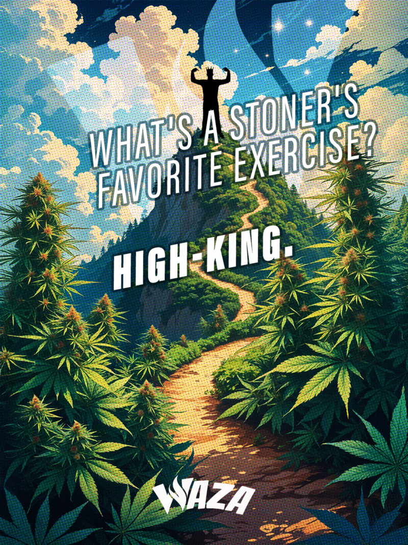 Funny 420 Stoner Memes | Waza Cannabis: What's a stoner's favorite exercise? High-king.