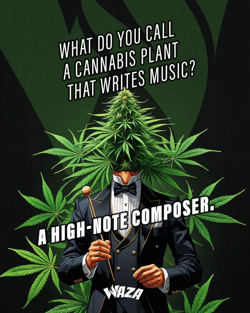 Funny 420 Stoner Memes | Waza Cannabis: What do you call a cannabis plant that writes music? A high-note composer.