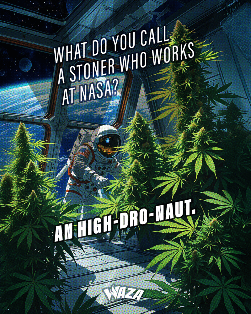 Funny 420 Stoner Memes | Waza Cannabis: What do you call a stoner who works at NASA? An High-dro-naut.