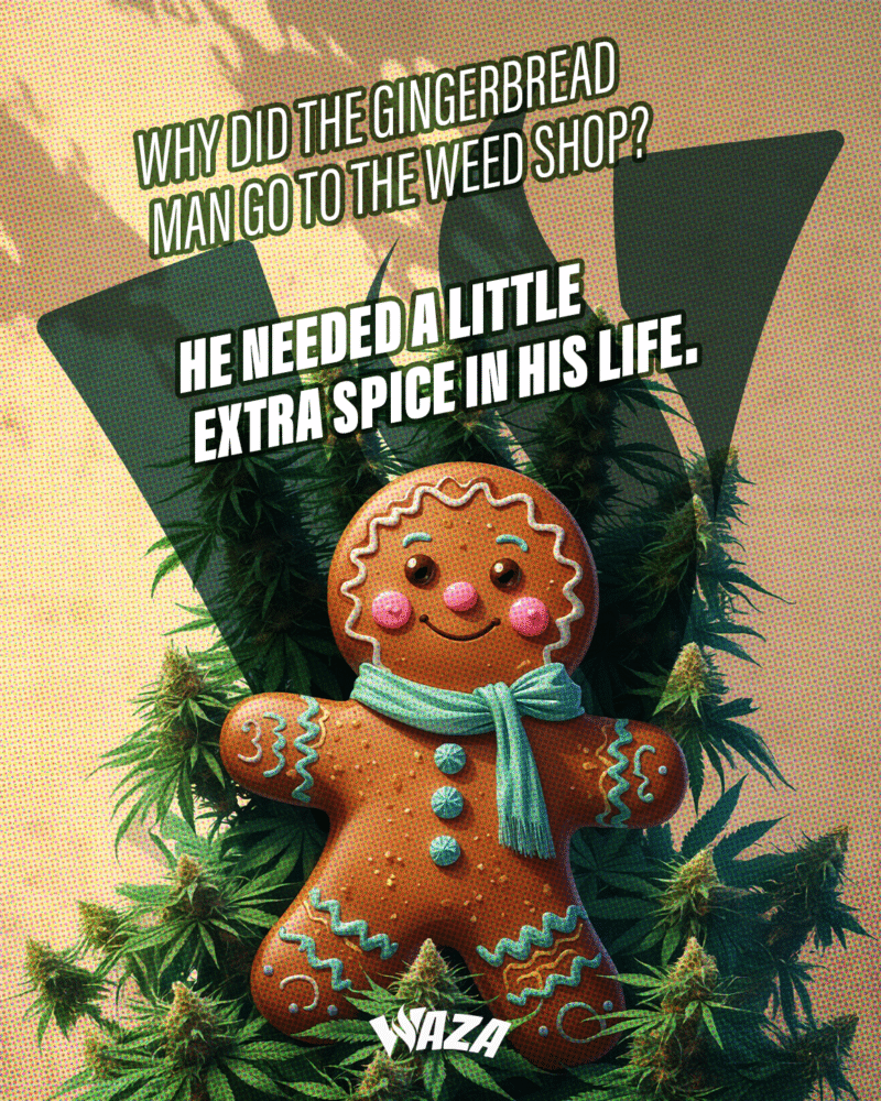 Funny 420 Stoner Memes | Waza Cannabis: Why did the gingerbread man go to the weed shop? He needed a little extra spice in his life.