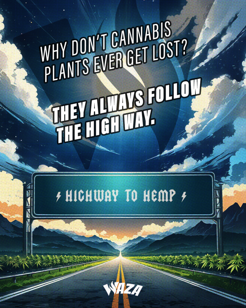 Funny 420 Stoner Memes | Waza Cannabis: Why don’t cannabis plants ever get lost? They always follow the high way.