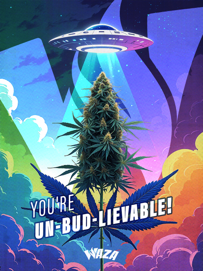 Funny 420 Stoner Memes | Waza Cannabis: You're UN-BUD-LIVEABLE!