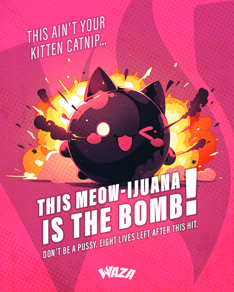 Funny stoner meme from Waza Cannabis: This ain’t your kitten catnip… this Meow-ijuana is the bomb! DON’T BE A PUSSY. Eight lives left after this hit.